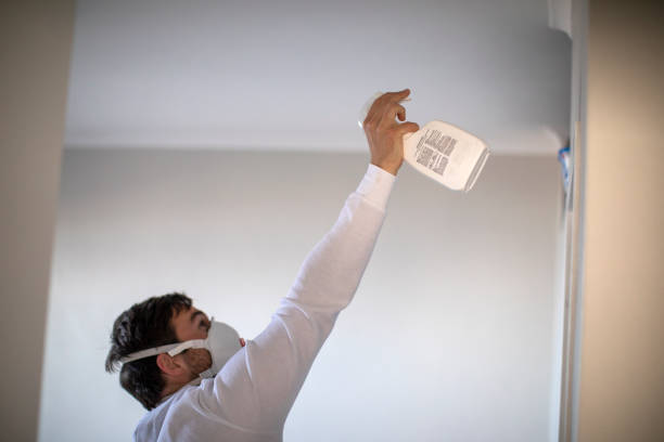 Best Residential Mold Removal  in Terrell Hills, TX