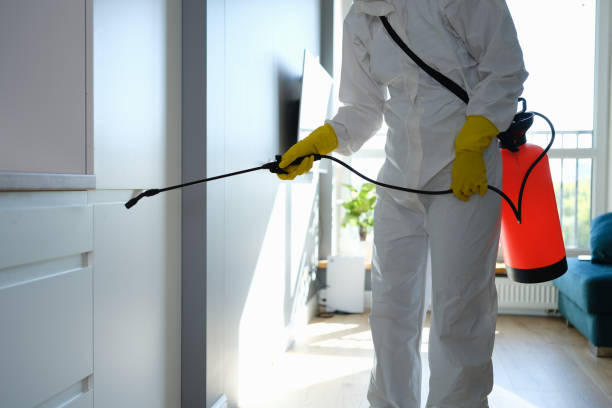 Best Mold Cleaning Services  in Terrell Hills, TX