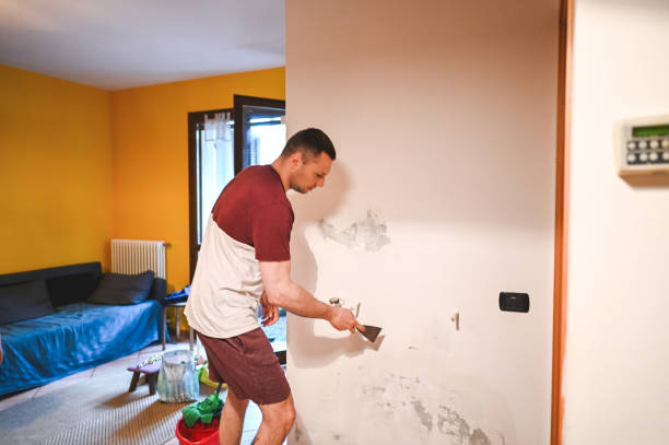 Best Mold Removal Company Near Me  in Terrell Hills, TX